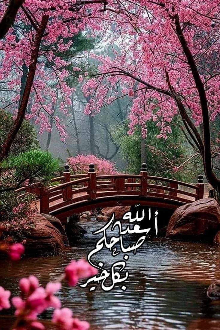 يوسف
