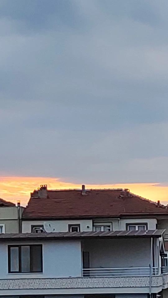 Duygu