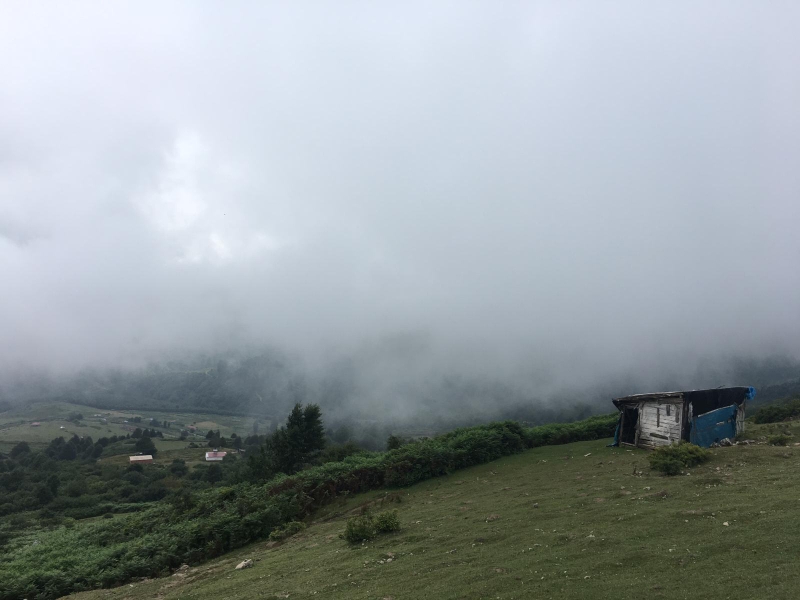 Nazar
