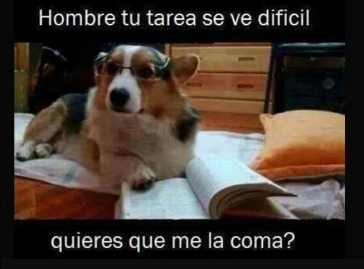 Angie