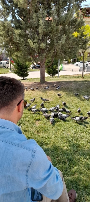Ayhan