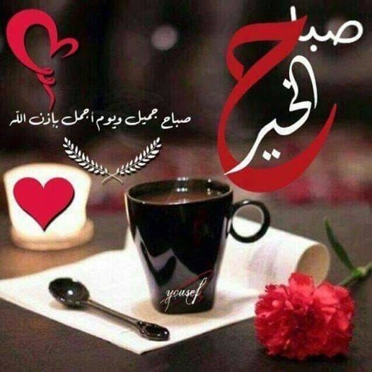 ابو