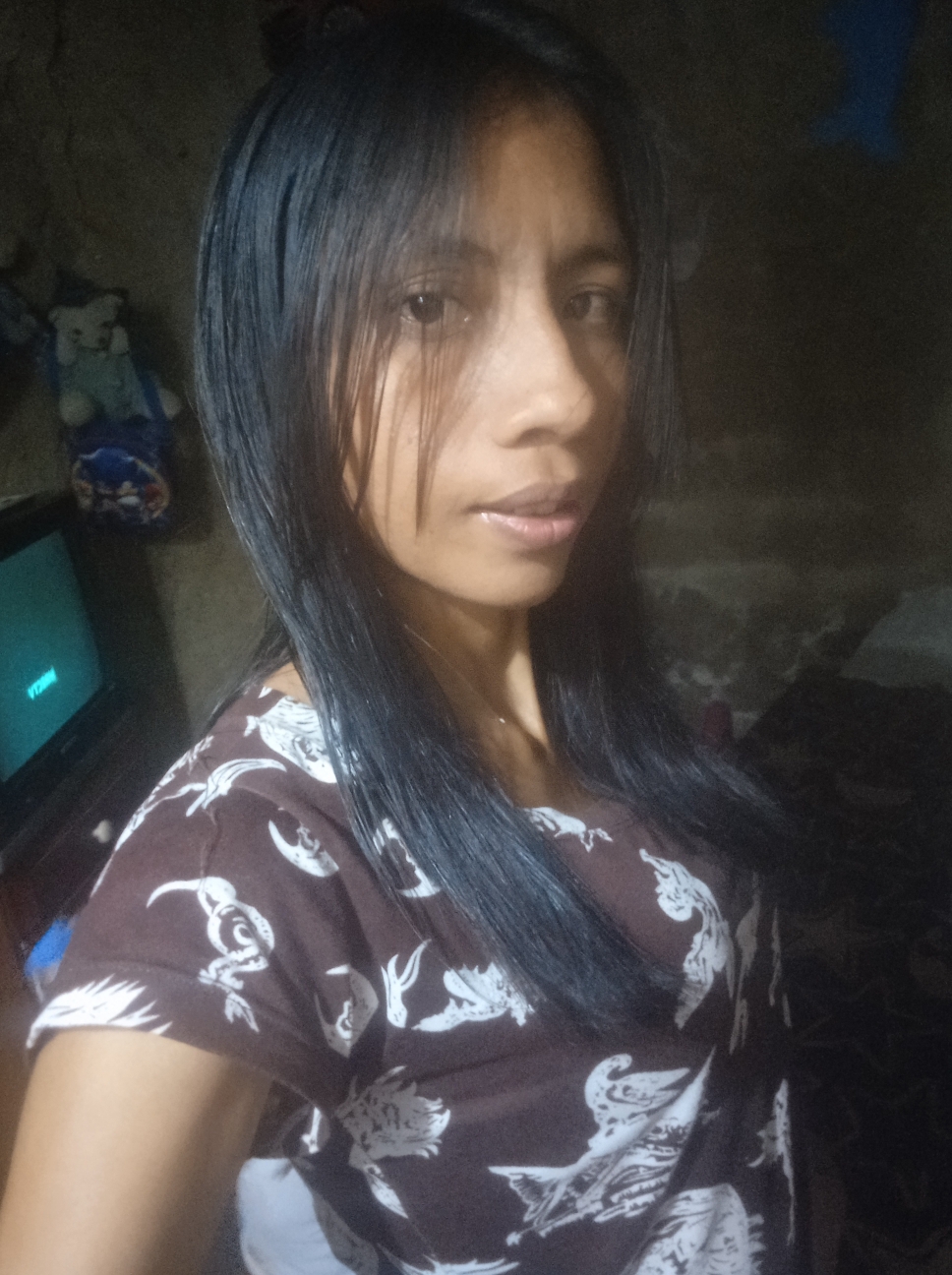 Luisneida