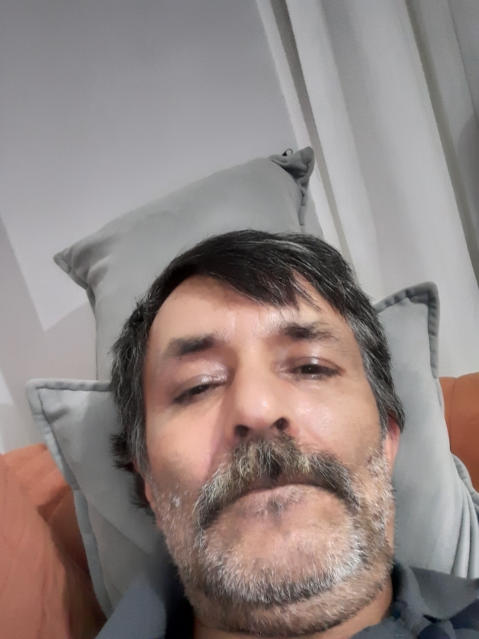 Ali