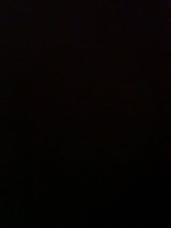 Yasemin