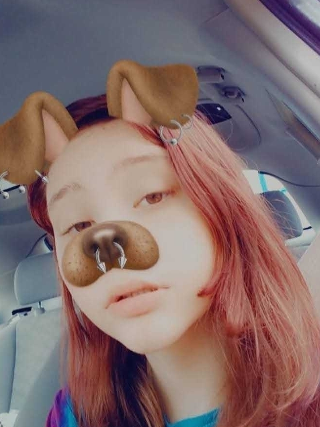 Bunny