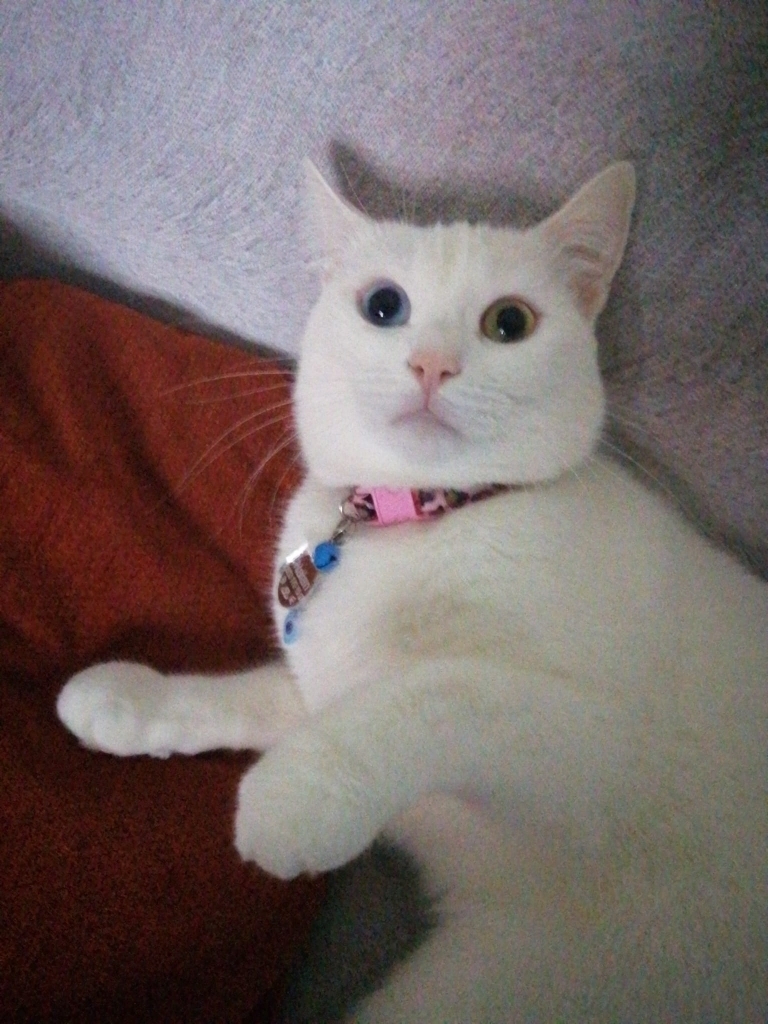 Esra