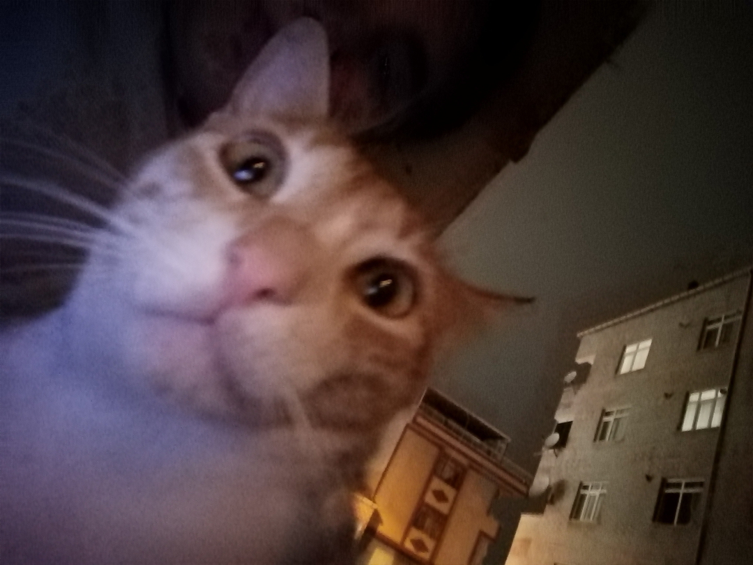 Cihan