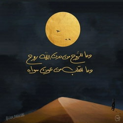 Abo