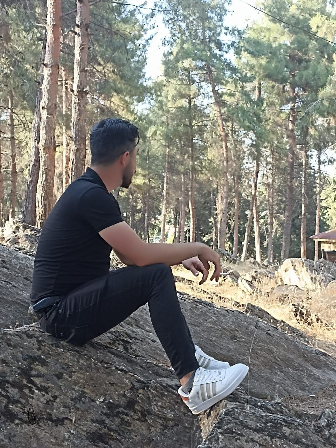 Şiyar