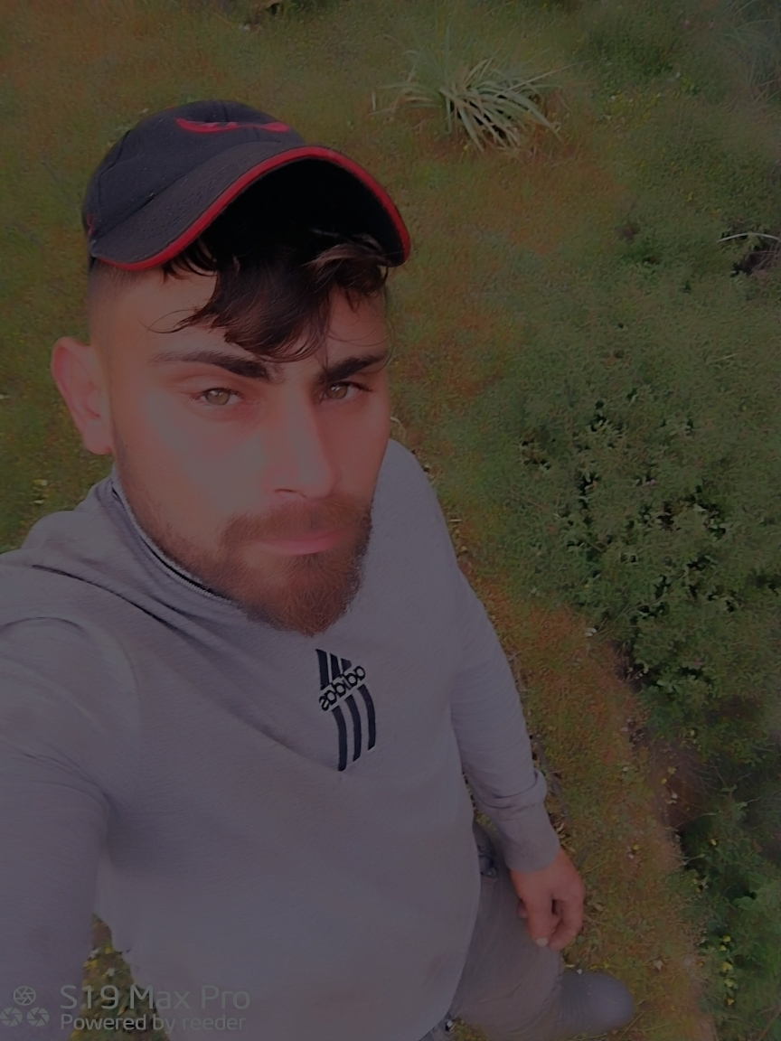 Sedat