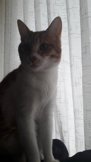 Zeynep