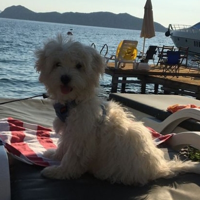 Gökhan