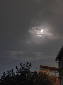 Türkan