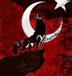 Olgaç