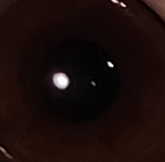 Aylar