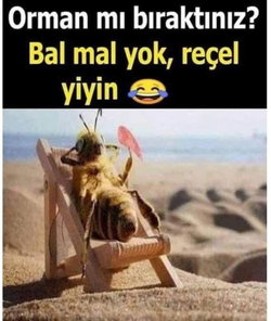 Yusuf