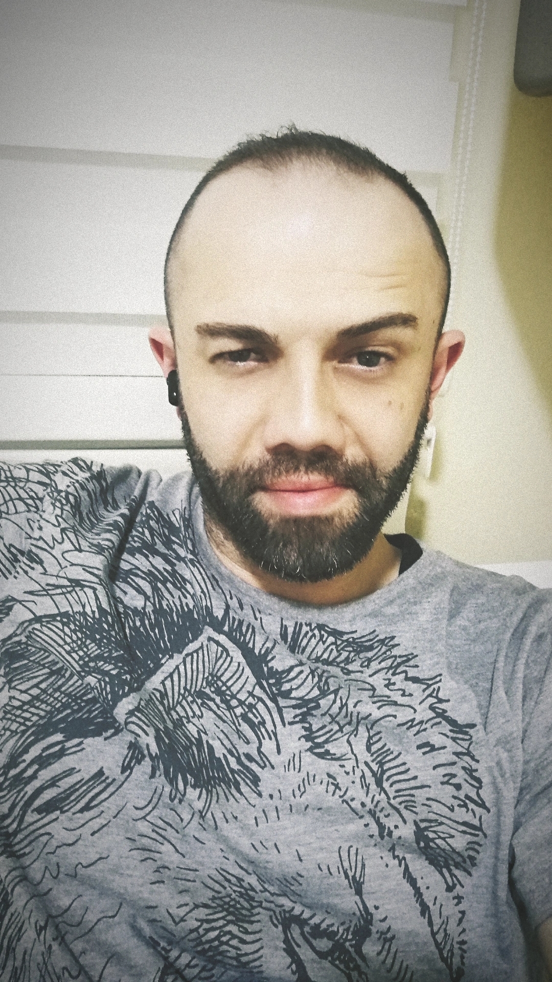 Elalemin