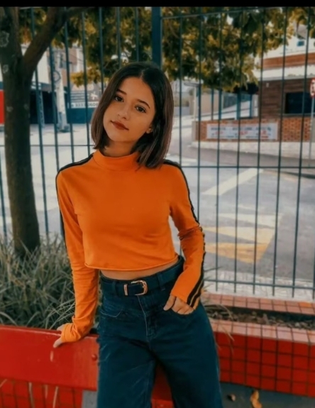 Buse