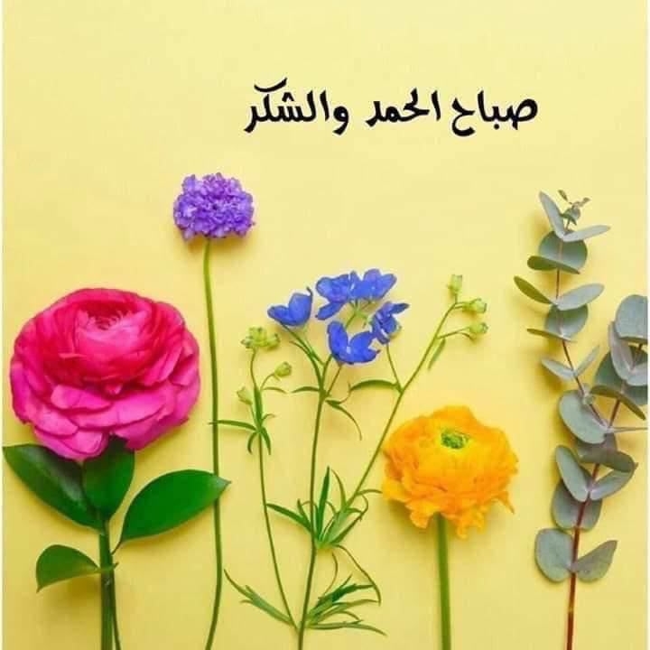 محمد