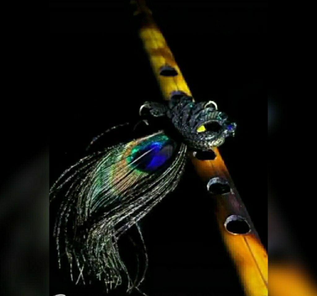 Pari