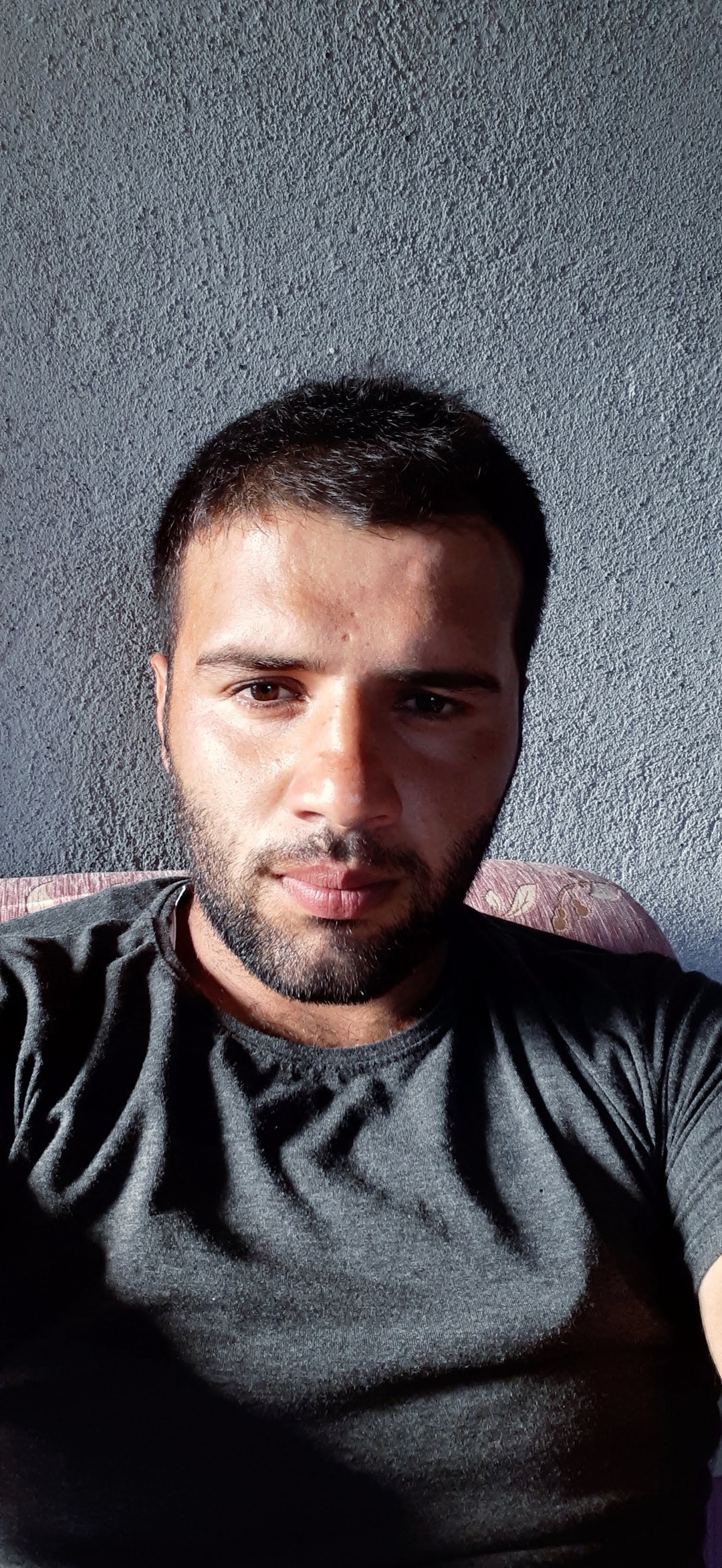 Bişar