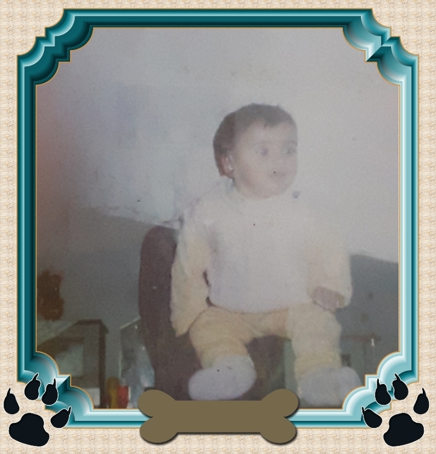 Kader