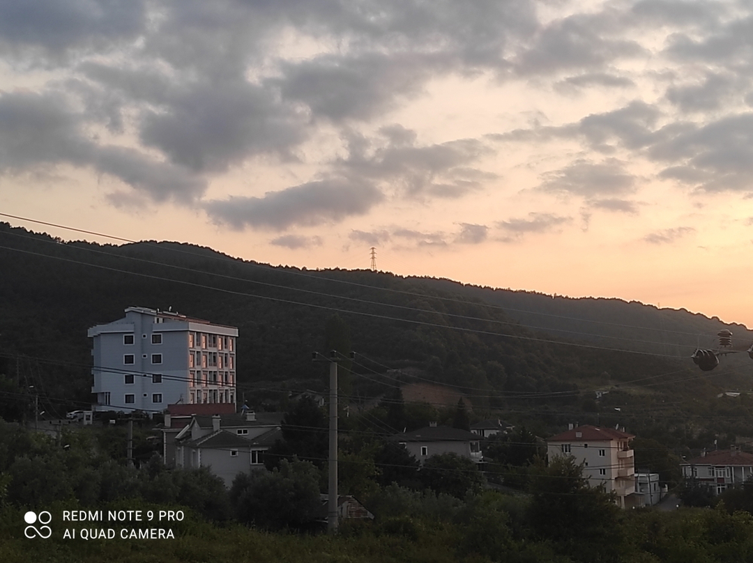 Mert