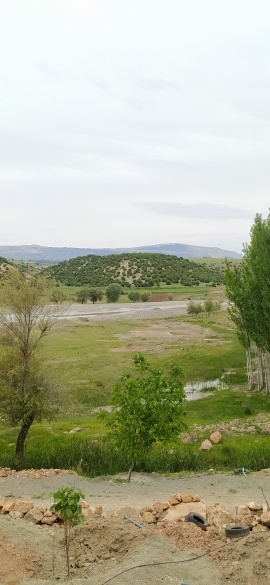 Vakkas
