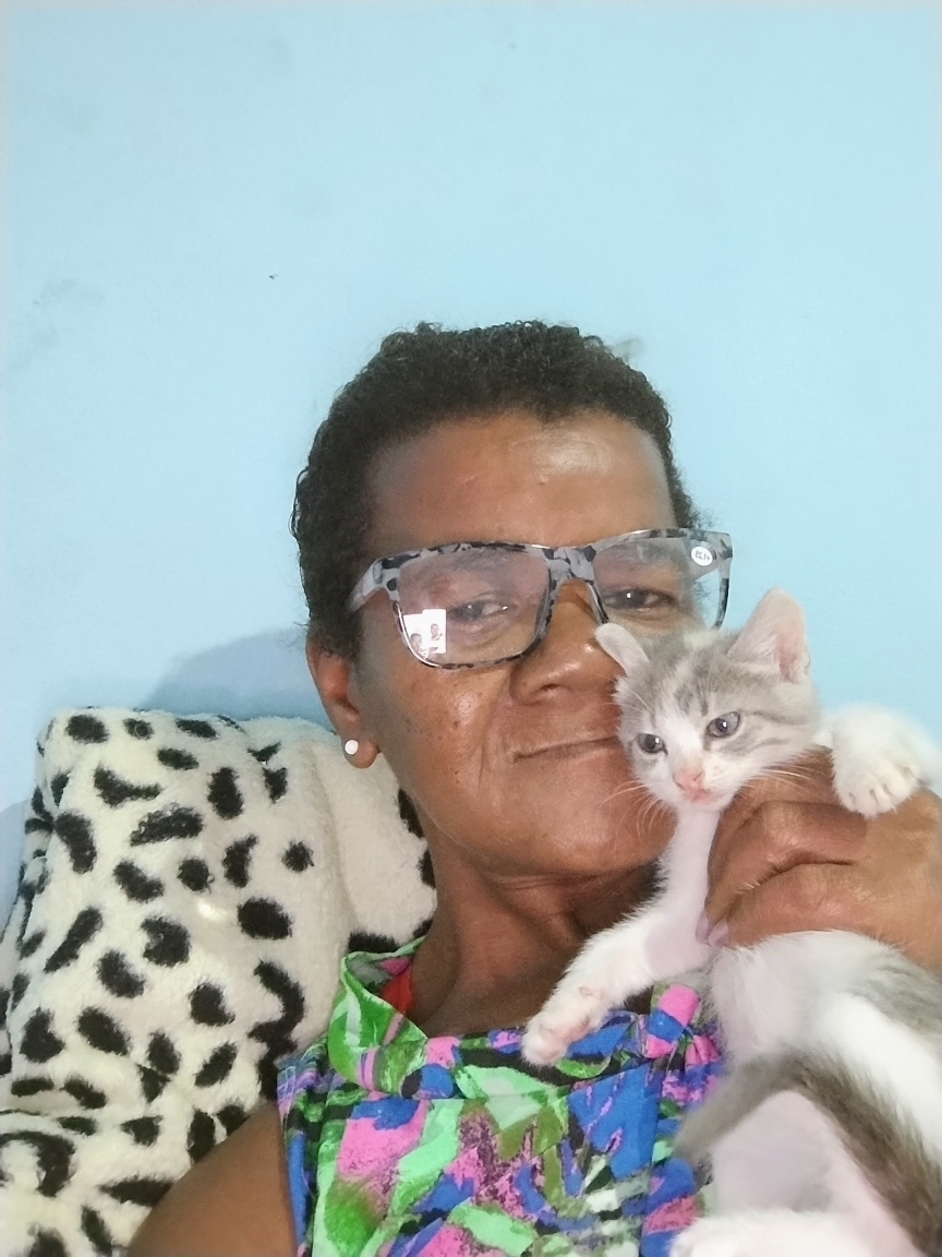 Flávia