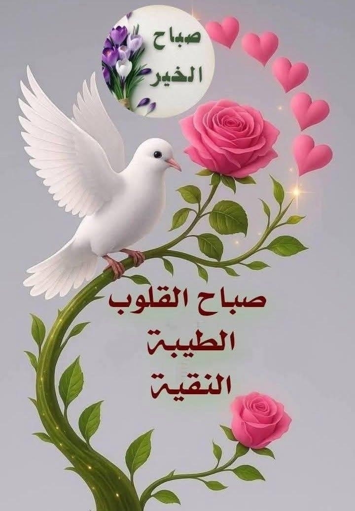 Iruf