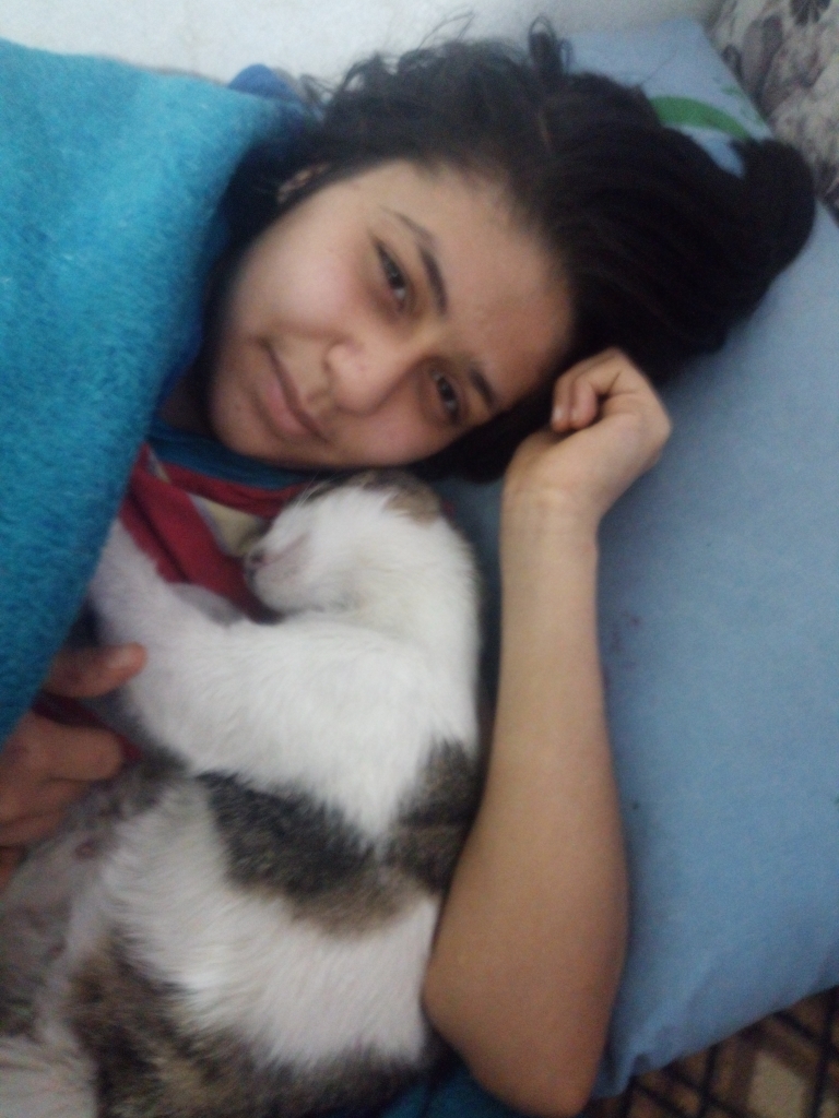 Sibel