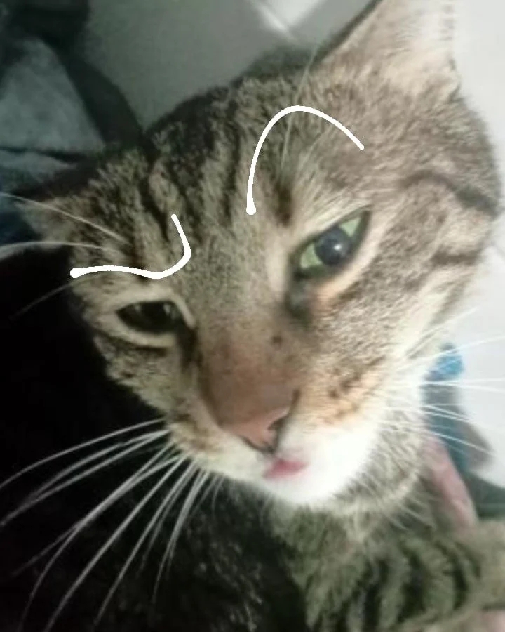 Mizu