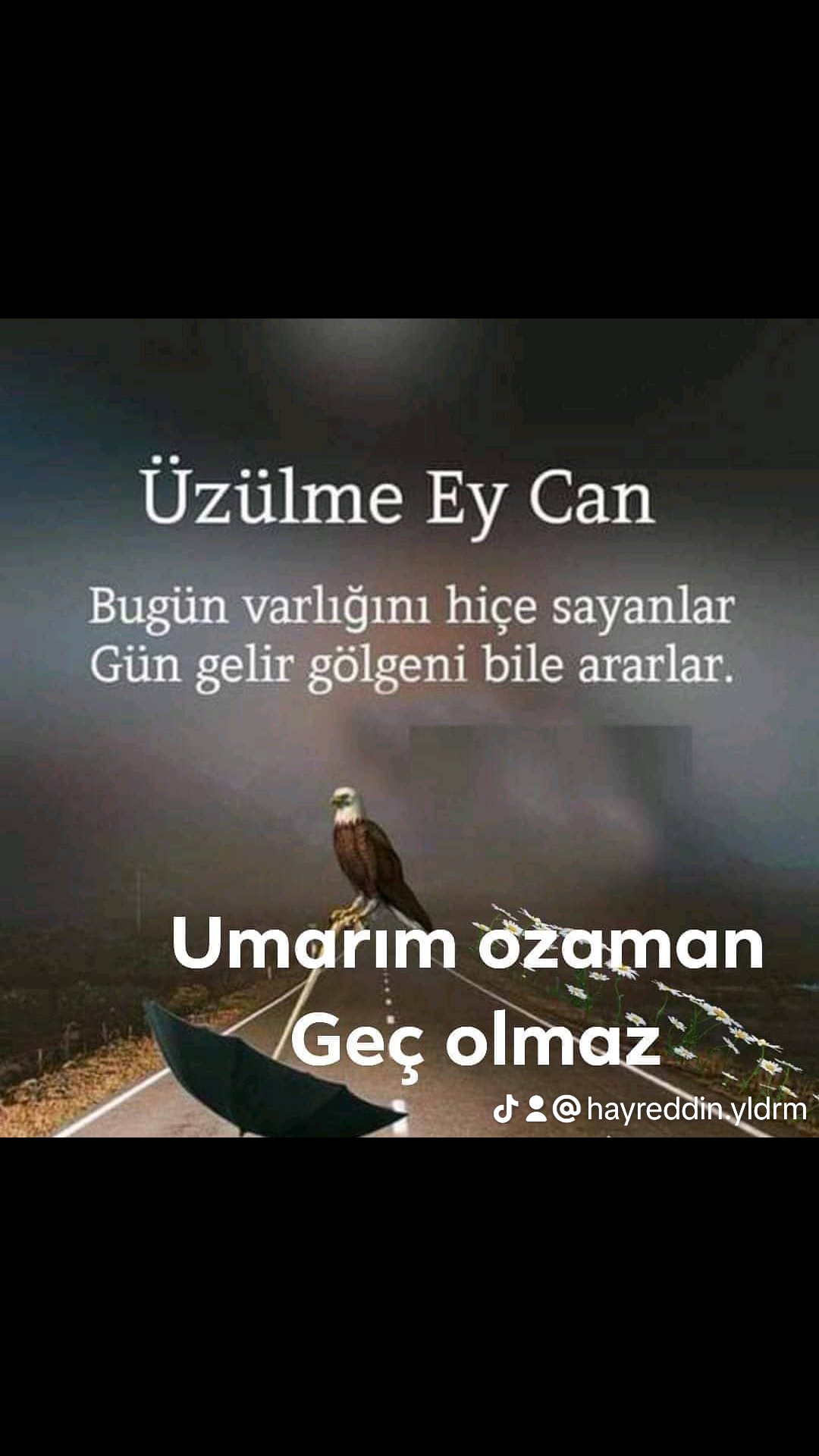 Hayreddin