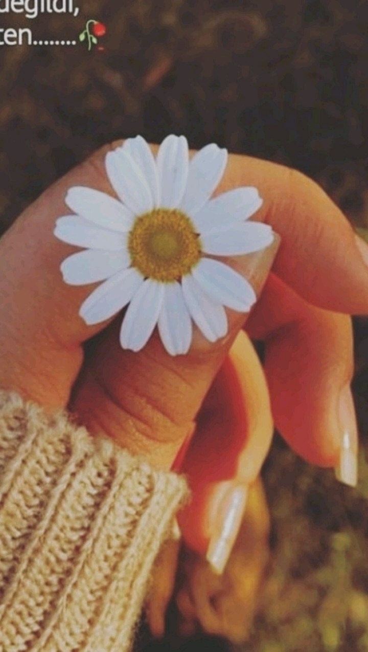 Gizemmm