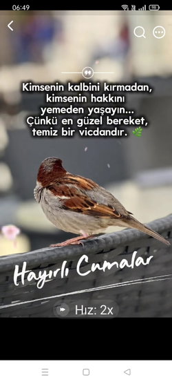Mahmut
