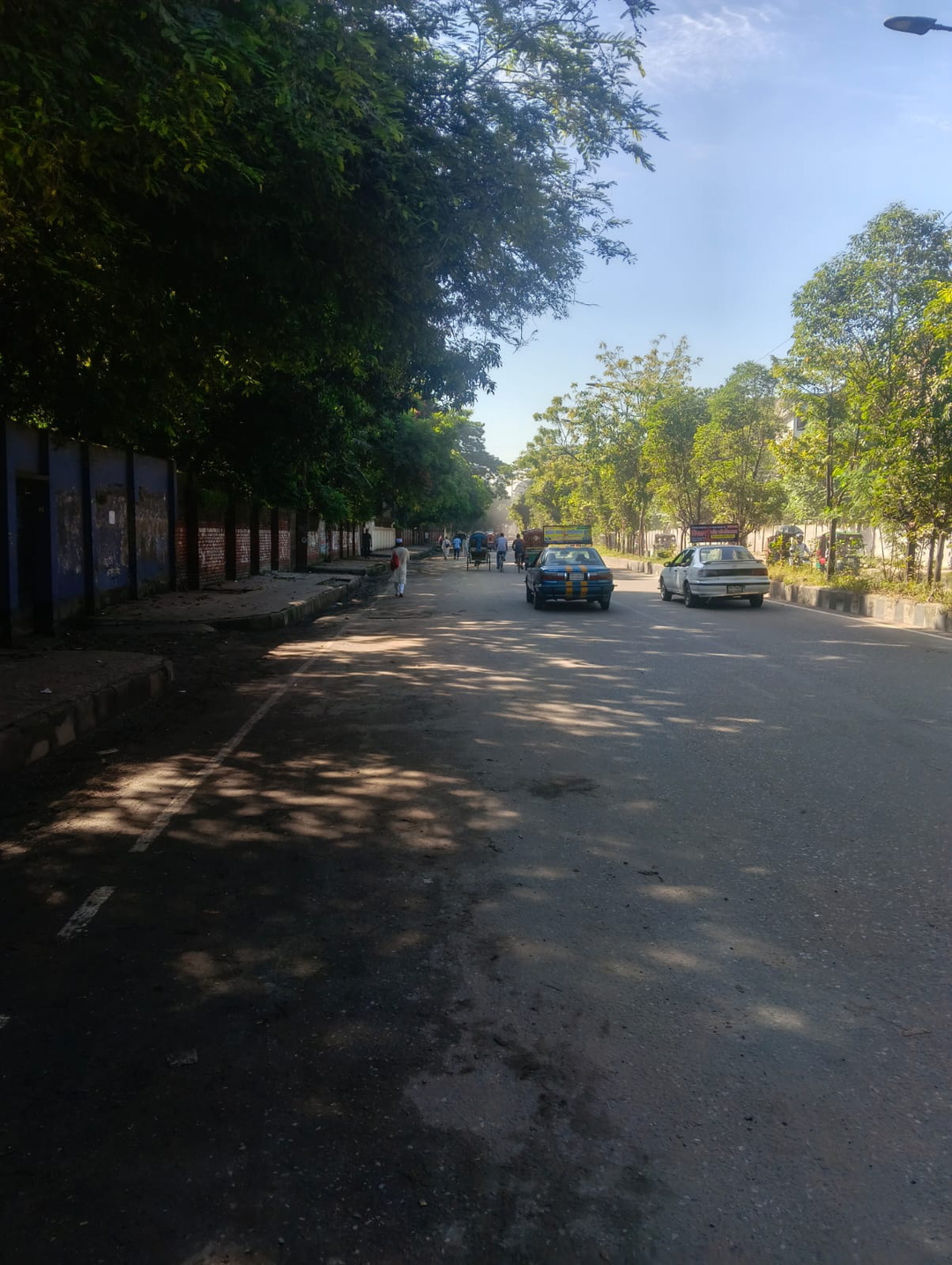Mehedi