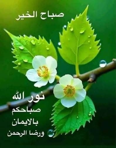 Hmad