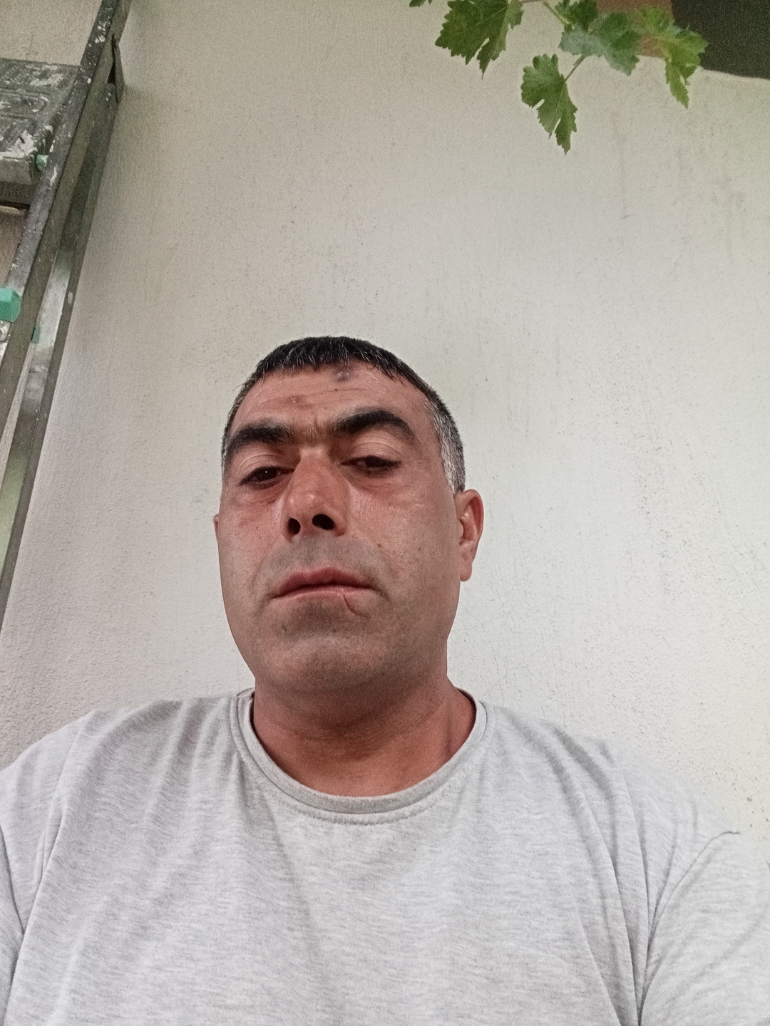 Murat