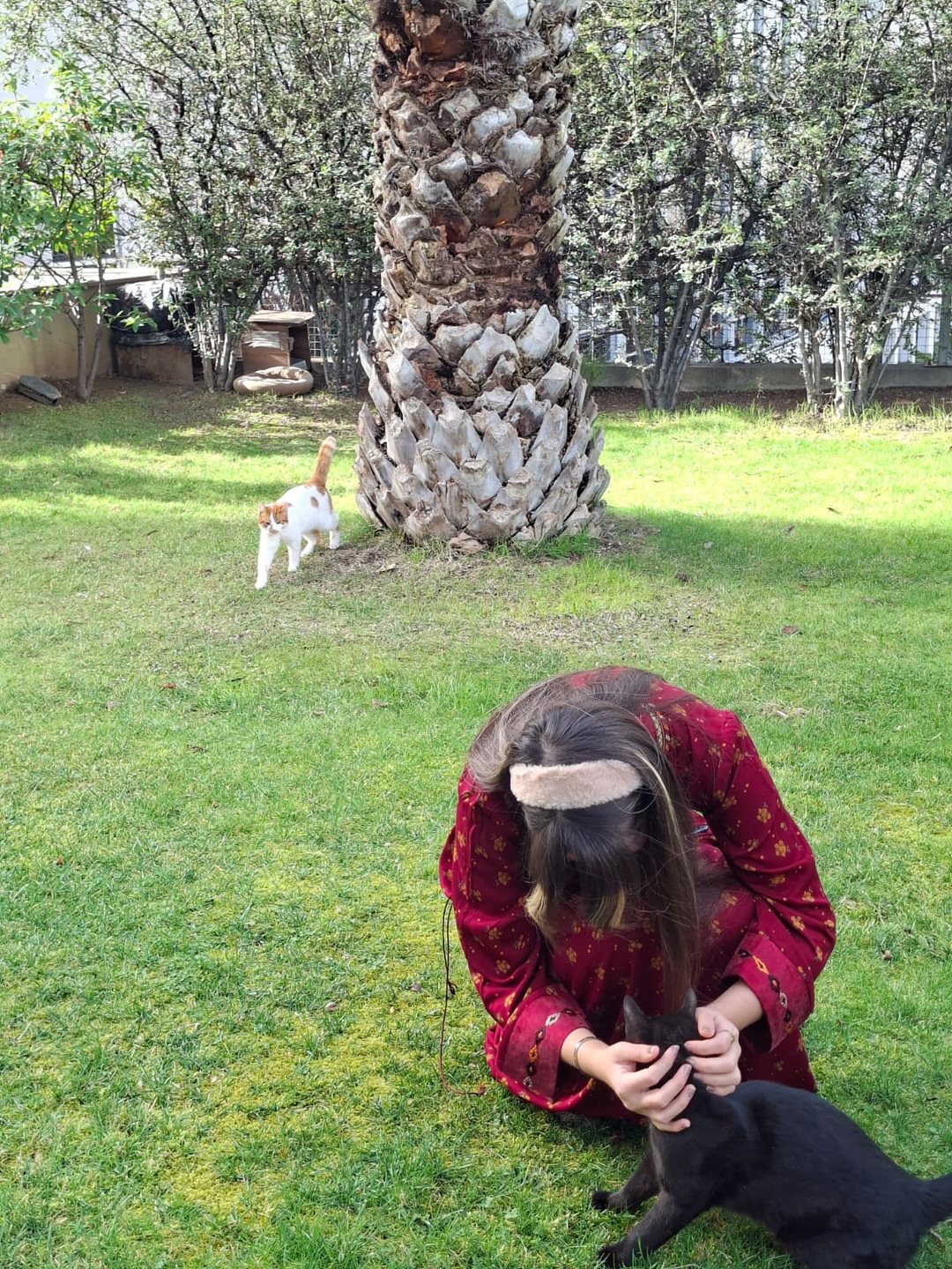 Ogulnur