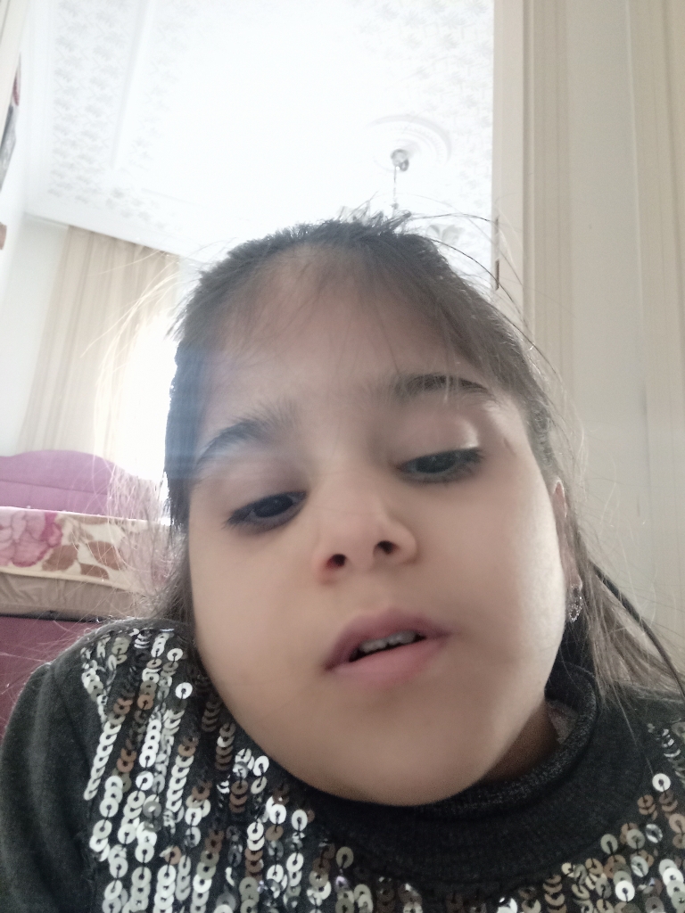 Sefa