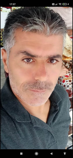 Veysel