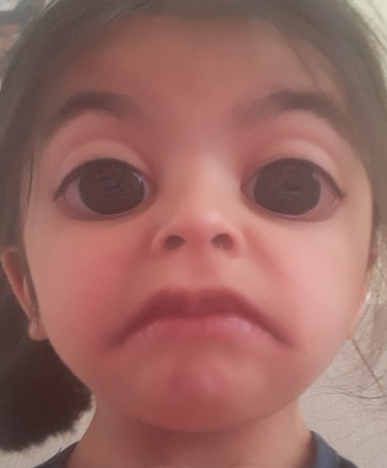 ROOKİE