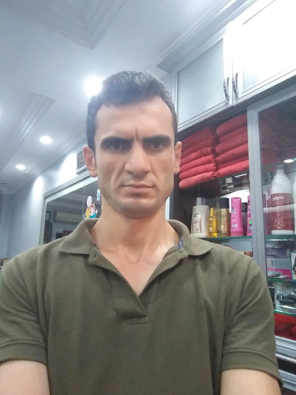 Şahin