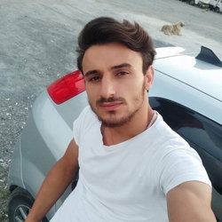 Şahin