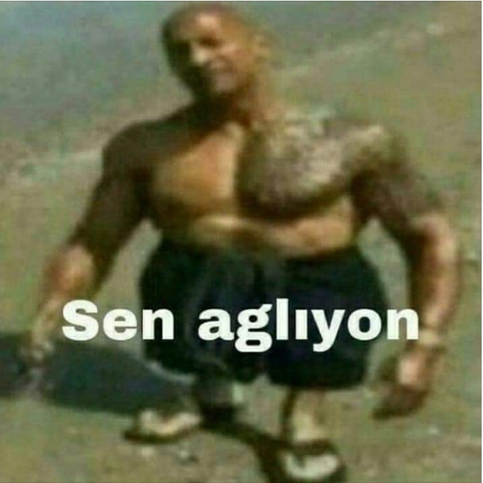 Yiğit