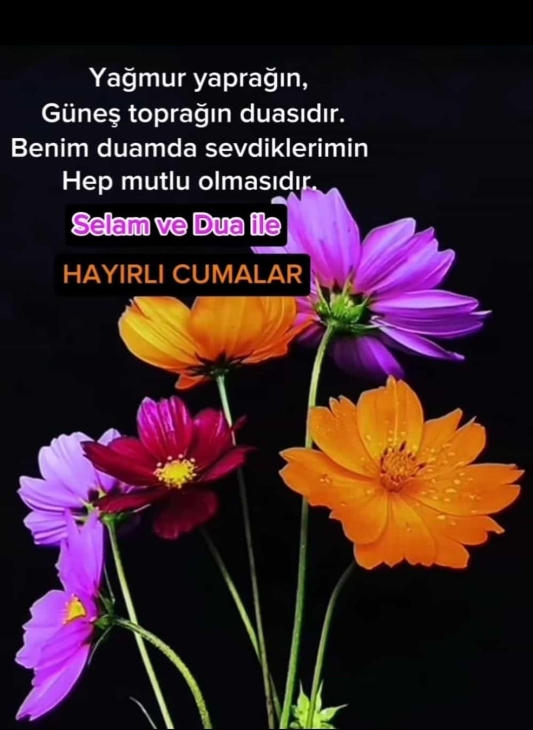 Pinar