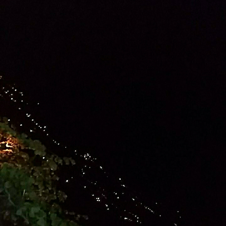 Aseladen