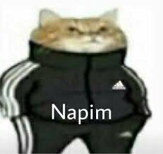 Ayşe