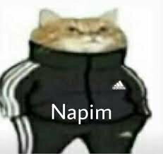 Ayşe